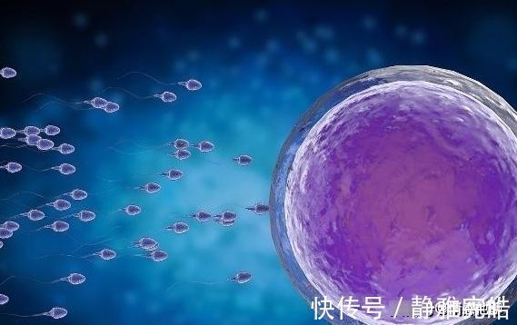 年龄|夫妻的最佳“年龄差”是几岁?如果接近“这个数”,就偷着乐吧