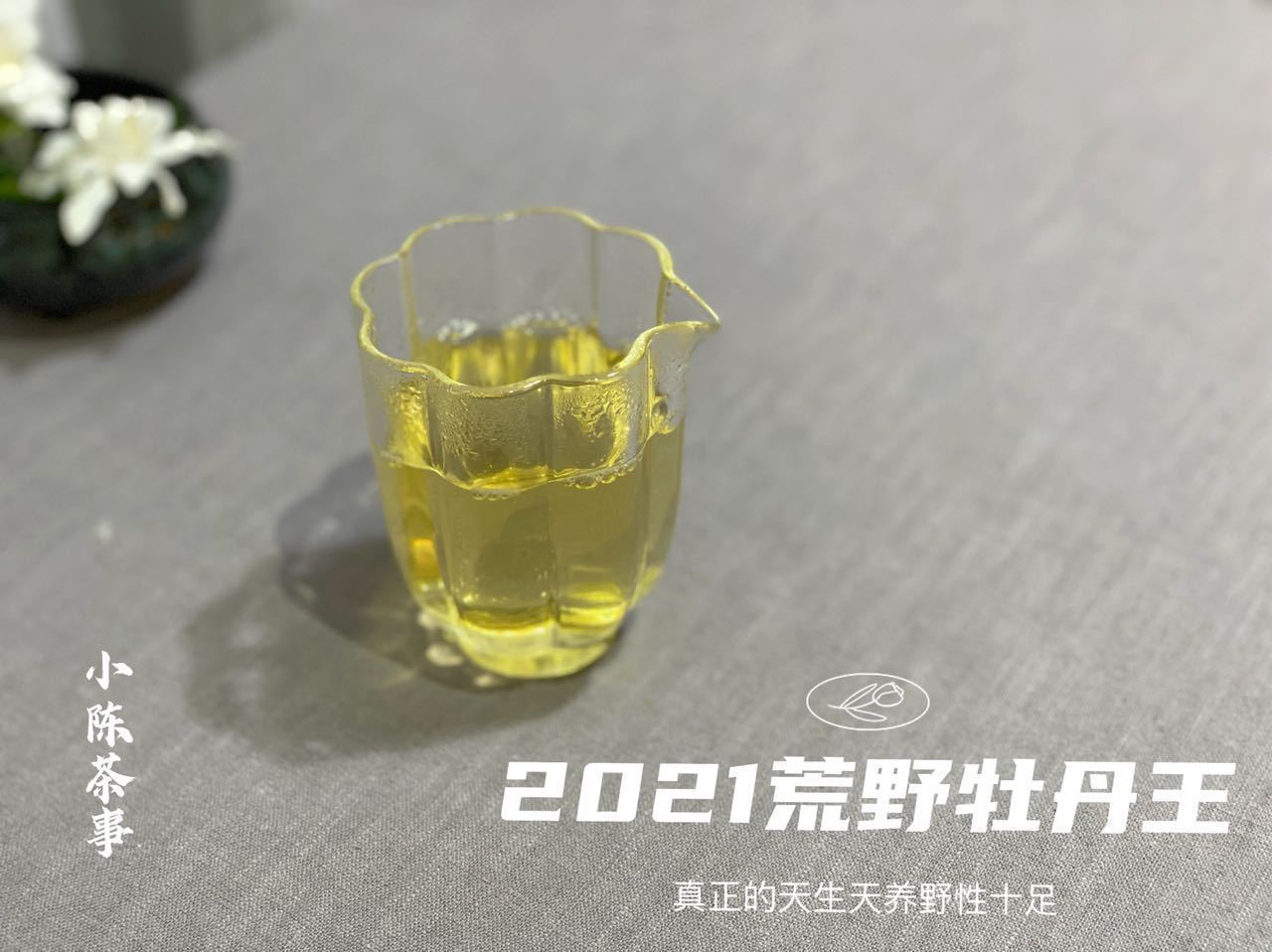 茶罐#五大堪称鸡肋的茶具，如果你家也有，请早点丢出茶室