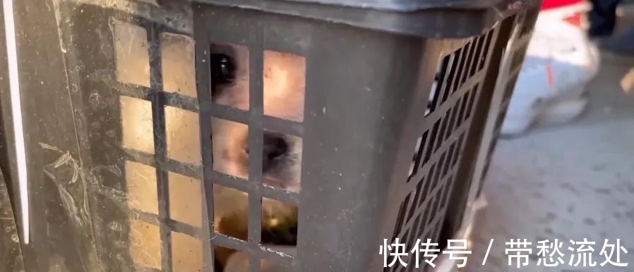 up主|隐秘的电商生意：我花35块网购，收到一具尸体