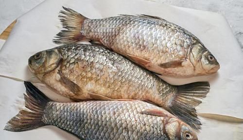 肉身|这5种鱼别再买给孩子吃了,不仅没营养还影响健康,你选对了吗?
