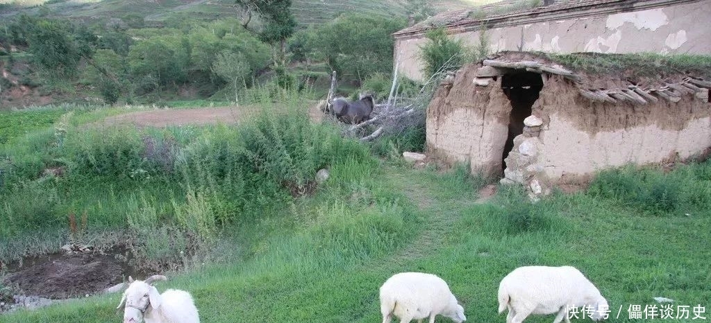 小羊羔|签约作家刘亚鸽/《三妹放羊》