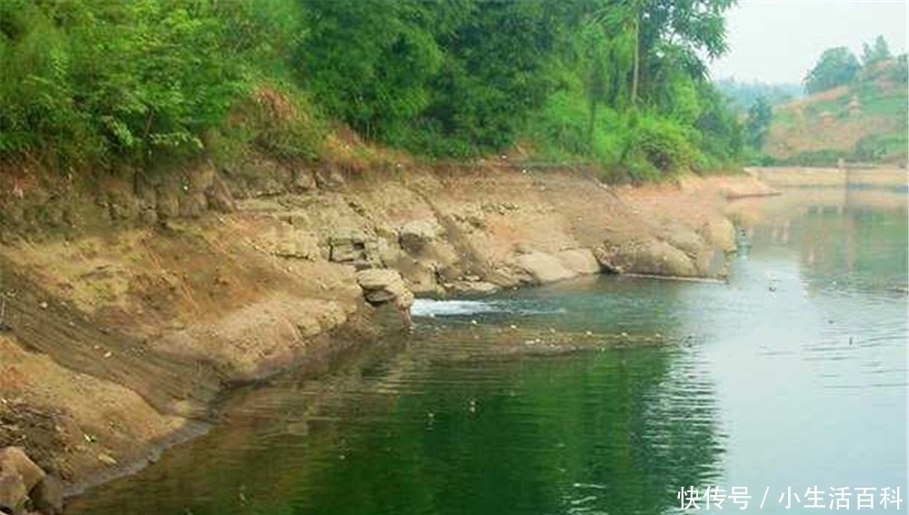 深水|夏季钓鱼，选择钓点的三大方向，气温攀升，鱼儿在这些地方扎堆！