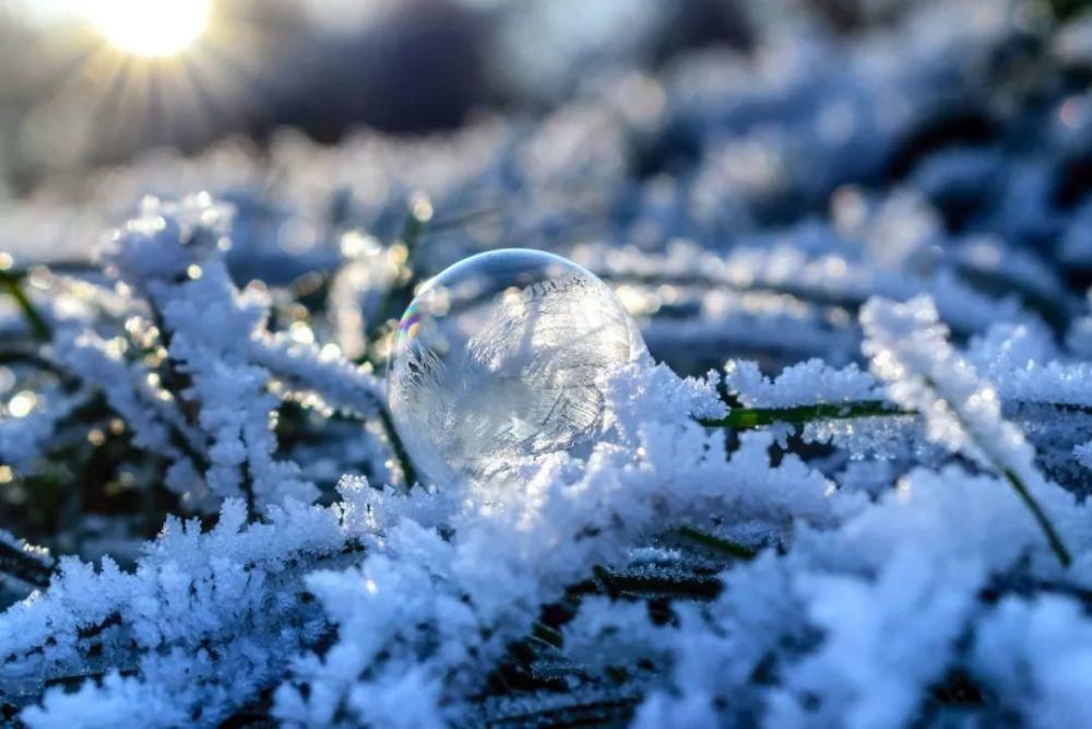  音乐|大雪时节：听10首雪的音乐，温暖你的心田