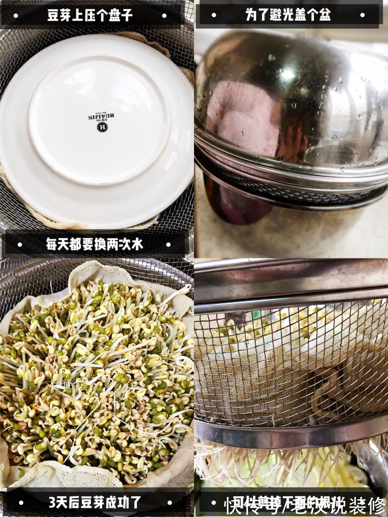 豆芽机|过来人的忠告：这8件家居用品，建议谨慎入手，不实用还积灰