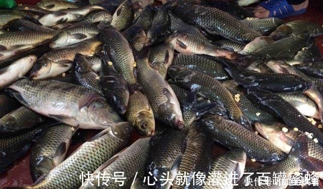 水草处|秋钓草边“三钓”、“三不钓”，用好了总有一次要爆护！