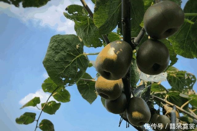 人到中老年，不管有钱没钱，建议常吃这3种食物，比保健品强多了！