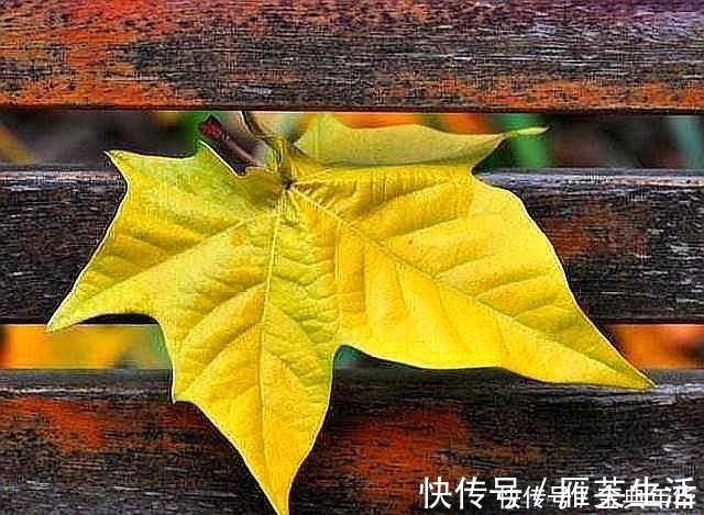 老无所依!人到六十,我们要做好老无所依的准备,原因很现实,写完流泪了