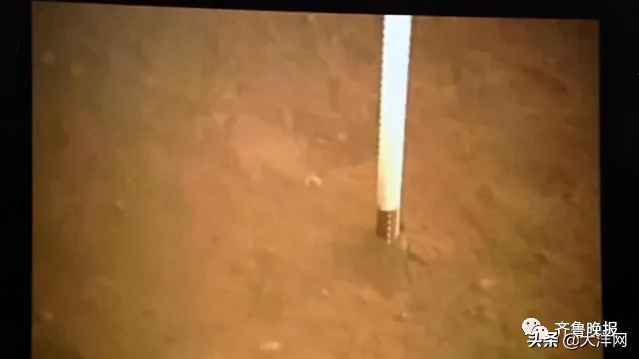 真的 来自种族的执念，月球土壤真的不能种菜！网友：无土栽培了解一下？
