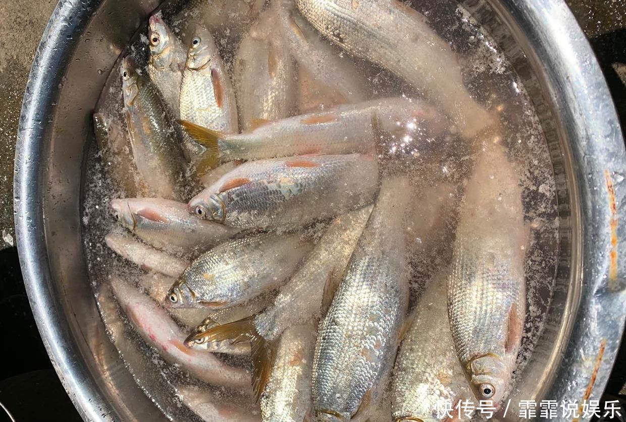 钓鱼|钓鱼时有口老打不到，会有哪些原因了解后可以帮你避免空竿