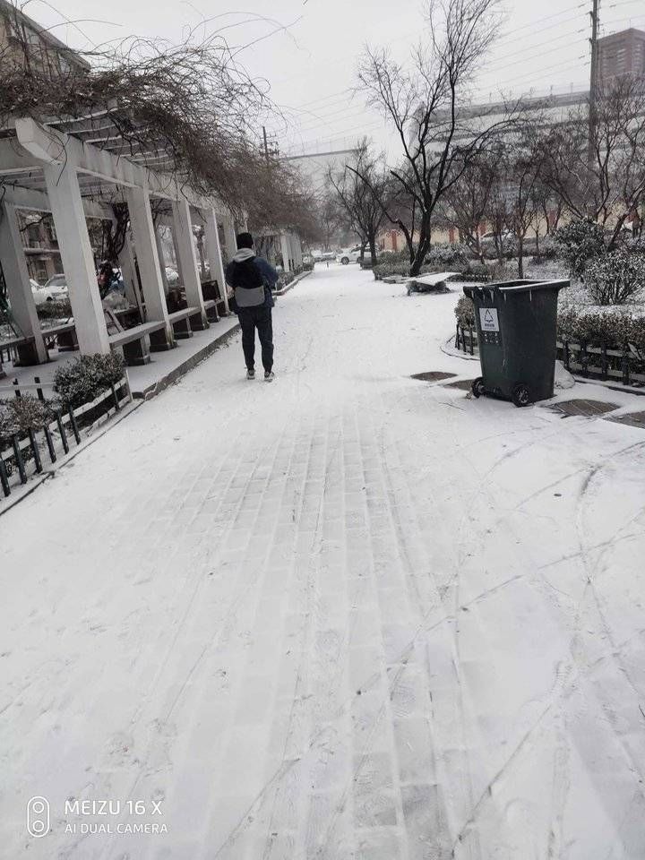 赏雪$在绿园里赏雪