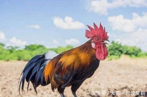 少爷!为何没文化叫“目不识丁”,“丁”字有何特殊?知道的人寥寥无几