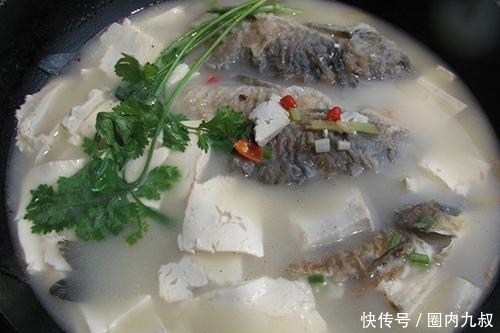 鸡蛋|鲫鱼炖豆腐的最简单做法,汤汁浓郁奶白,鱼肉鲜嫩不粘锅,吃不够