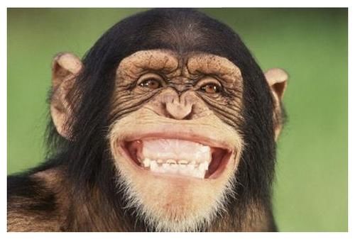 西红柿|岁数大了容易有老年斑？若能做好3件事，或许老了也干干净净