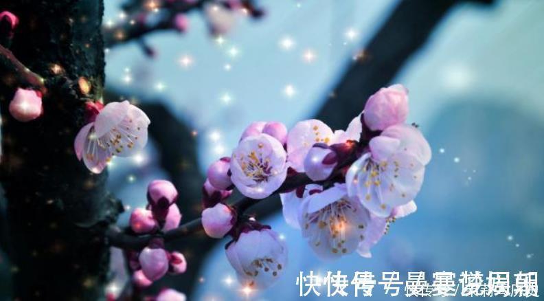 词人@朱淑真婚后觉得不幸福,写首绝美词思念意中人,却成一首千古名作