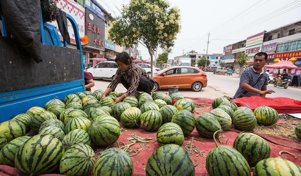 切开|世界上最大的西瓜,300多斤跟猪有的一拼,切开一看却傻眼了