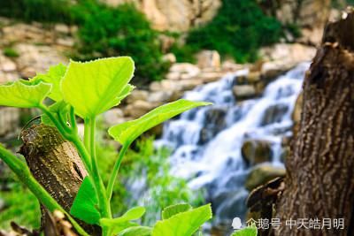 今宵谁与诉衷肠|鹧鸪天·今宵谁与诉衷肠