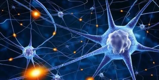 长寿|老人一过60岁能否可以长寿,看看身体这3种表现就一目了然,快测