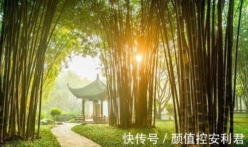 意气君@习练太极拳,要明白“意气君来骨肉臣”这句话的含义