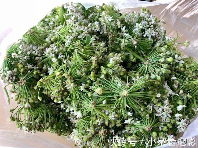 绞肉机|腌韭菜花别只会放盐,教你1招,颜色翠绿不发黄,保存一年不坏