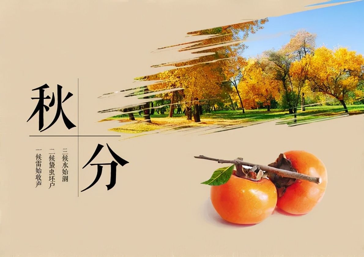 秋天&诗词丨又是一年秋分至，秋夜渐凉情渐长