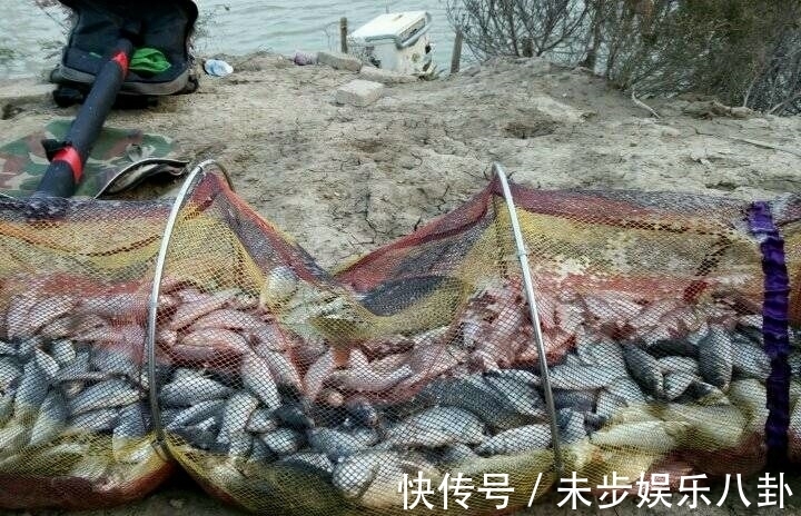 冬钓保底十条大板鲫的三个诀窍,其实一点也不难