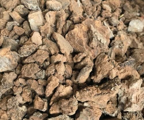 麻酱|1种渣子可别扔,拿来当肥不伤根,挖个小洞,埋盆里,疯开撑破盆