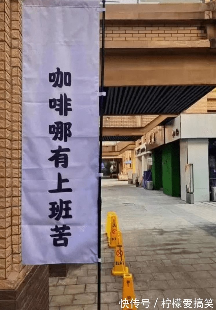 |搞笑GIF:铲屎的赶紧把我放了,否则我拆了你的后备箱