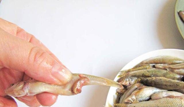 这种小鱼全是肉,买一斤5块钱给老公做了下酒菜,饭店要四十块钱