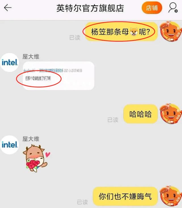 杨笠替陈卓璇背锅?