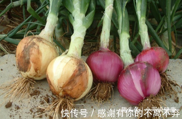 亲爱的|长寿老人爱吃的此种食物,延缓衰老、降血脂,早知早受益