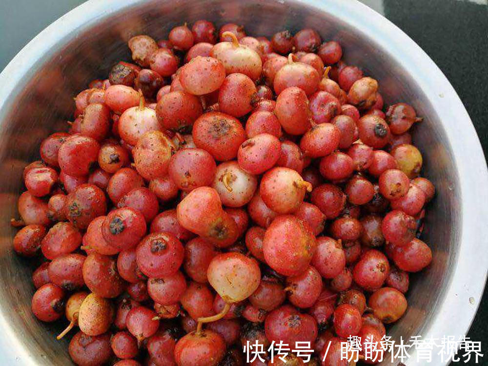 地瓜泡|埋在土里的“石榴”,过去农村娃当糖吃,如今15元一斤,别错过