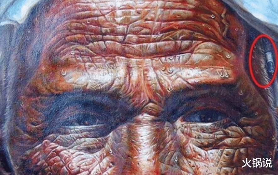 农民&油画《父亲》当年为参选,作者添了支圆珠笔,为何被认为是败笔