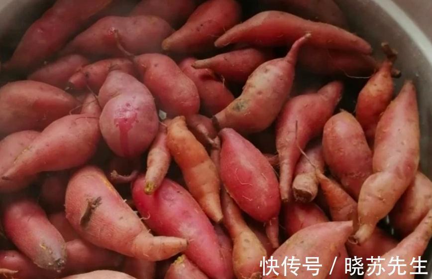 晒红薯干,牢记这2个小技巧,红薯干红润不干硬,香甜软糯