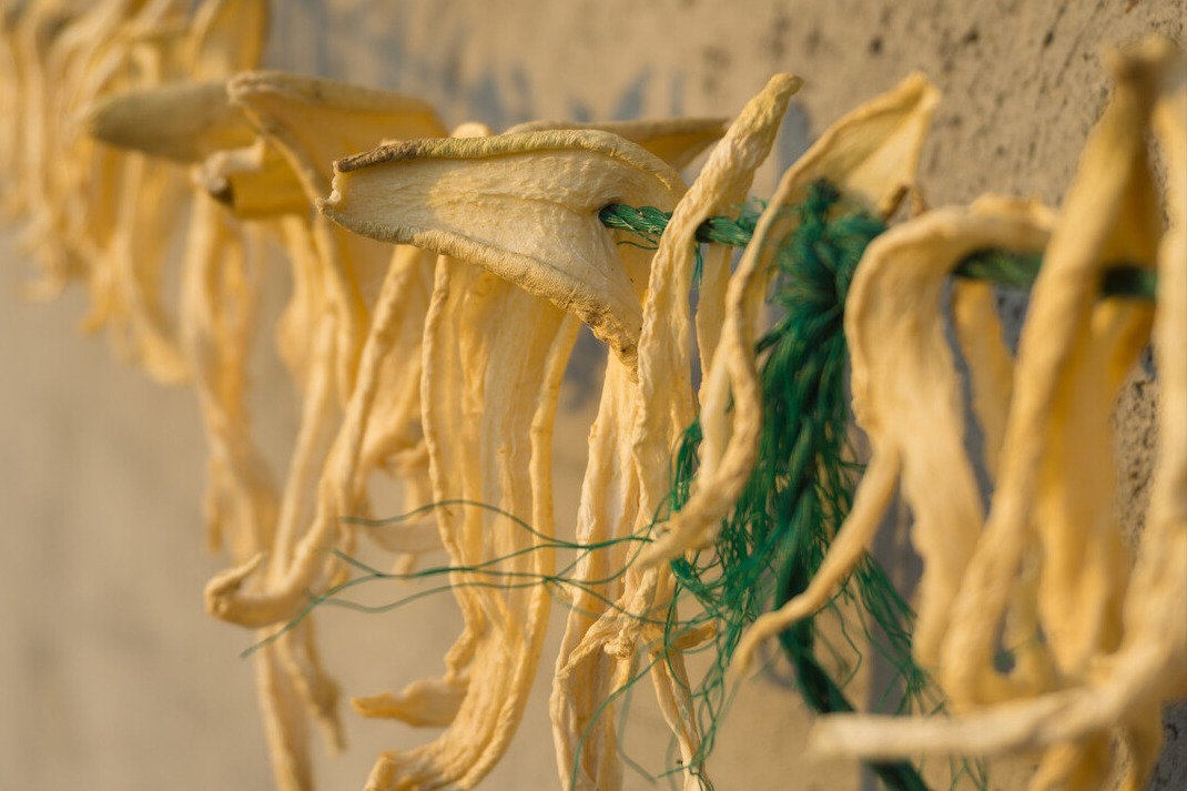 6种蔬菜好吃还不贵,秋天正当季,多买点晒干,冬天炖肉真过瘾!