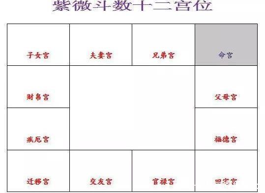 你的正缘桃花靠谱么 紫微斗数教你看姻缘好坏 快资讯