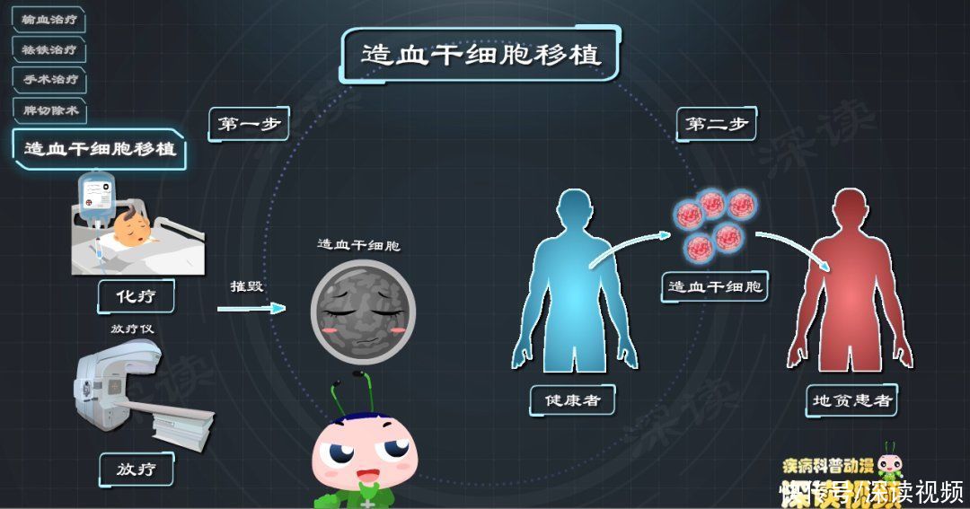 地贫|地中海贫血竟然要切脾？造血干细胞移植能根治？动漫解读科学疗法