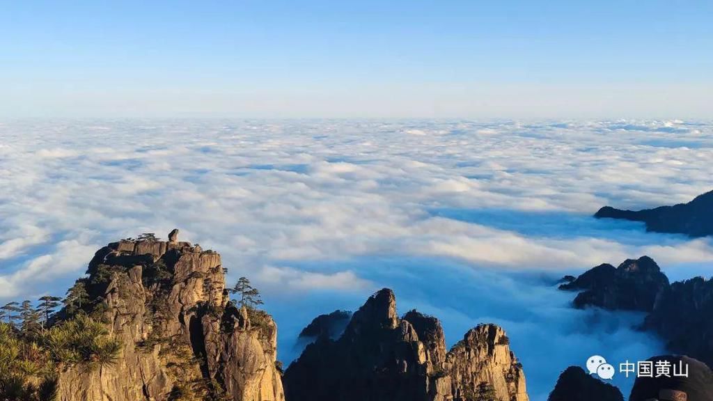 壮观绝美！黄山再现“海”上日出！