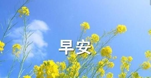 定力|早安心语：人生，最重要的是定力