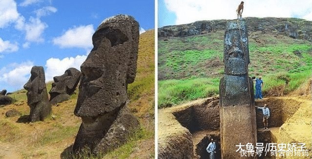 电子显微镜 22张“活久见”的照片,令人大开眼界!