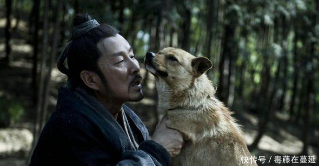 皇帝|皇帝打了败仗，找女婿宣泄怒火！再次出征，女婿献上美女！