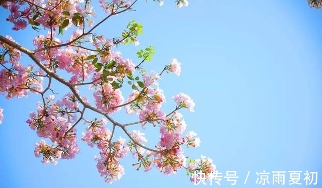 工作压力|9月17开始，四生肖迎来福星，好运降临，事业节节攀升