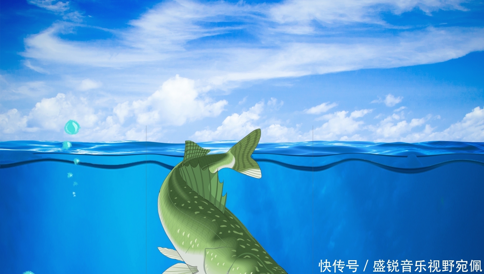 鲤鱼|鲫鱼、鲤鱼、青鱼和草鱼都喜欢什么味型？气味诱鱼的几个关键点