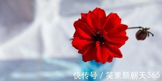 射手座|未来一个月,与旧爱复合成功,前任主动找你和好如初的四个星座