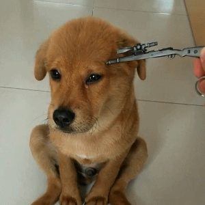 |搞笑动图:小兄弟:不要悲伤,人生的路还很长啊!