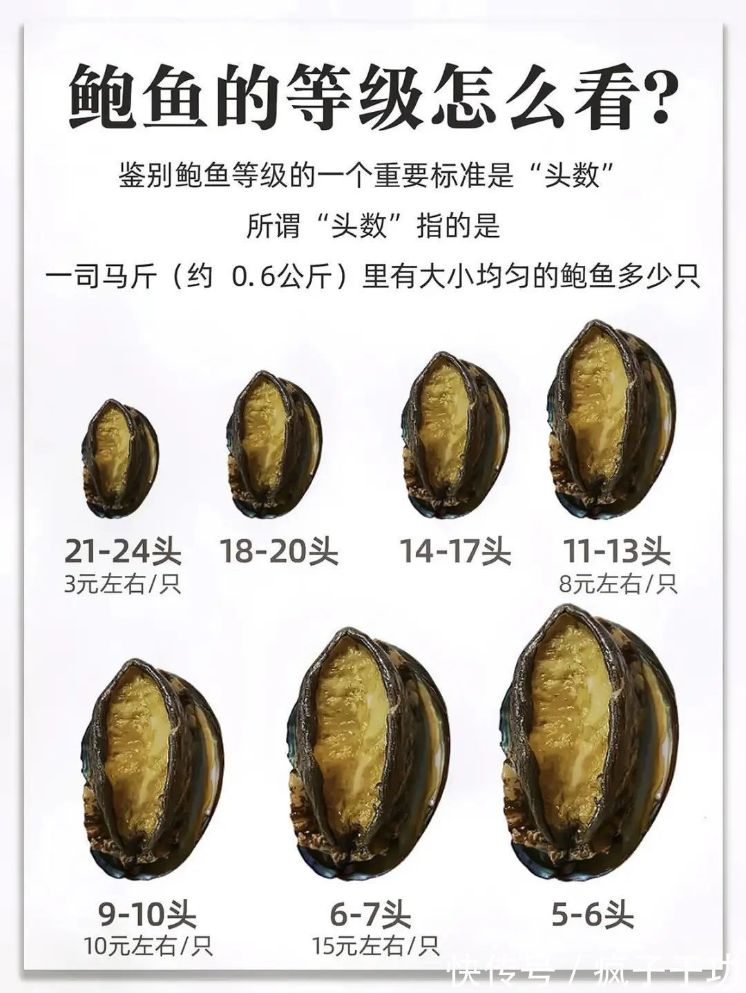 鲍鱼市场的风向标：连江鲍鱼批发趋势分析