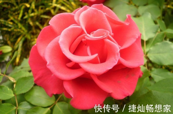 长寿!俗话说人在做,天在看,多做4件积德事,晚年必将长寿又多福!