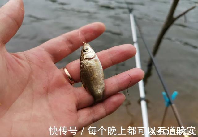 钓具|野钓实用性很高的3种钩型，分别应对大中小3类鱼情---皇禾钓具
