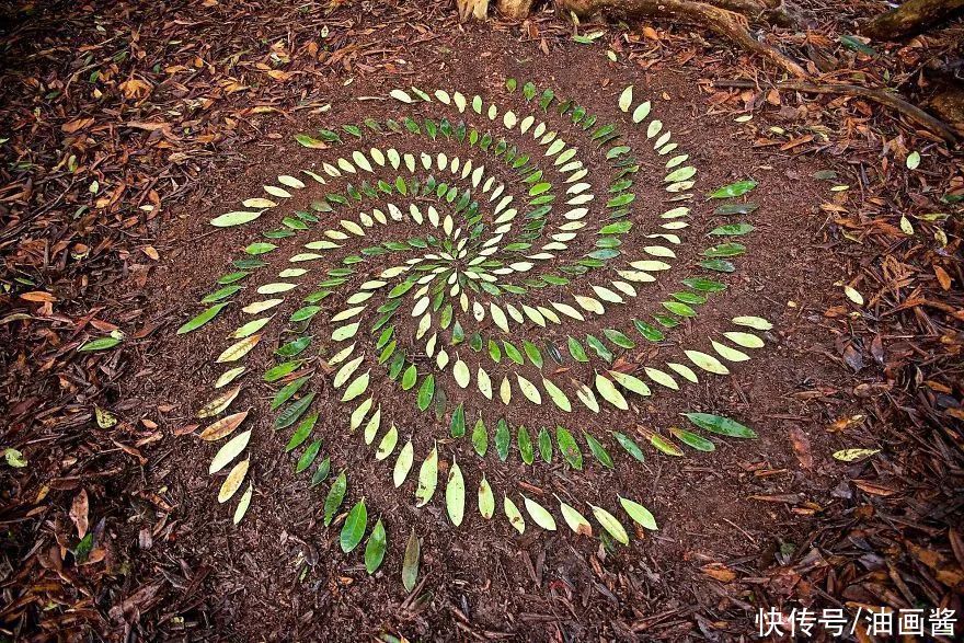 詹姆斯|艺术家用石头和树叶“作画”,网友直呼:太解压,治愈强迫症