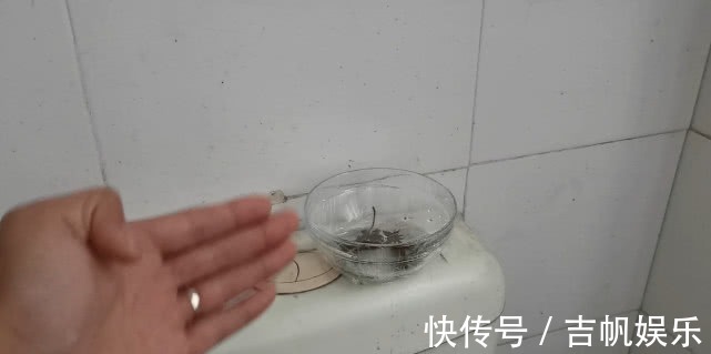 白醋里放几粒八角泡一泡,解决了家家户户的难题,真实用学学吧!