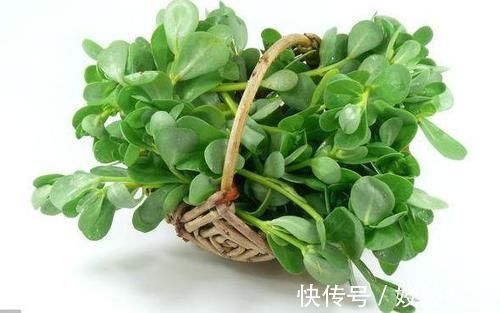 农村|农村晒不死的“野菜”,养在花盆当花看,现在吃正鲜嫩,去开挖